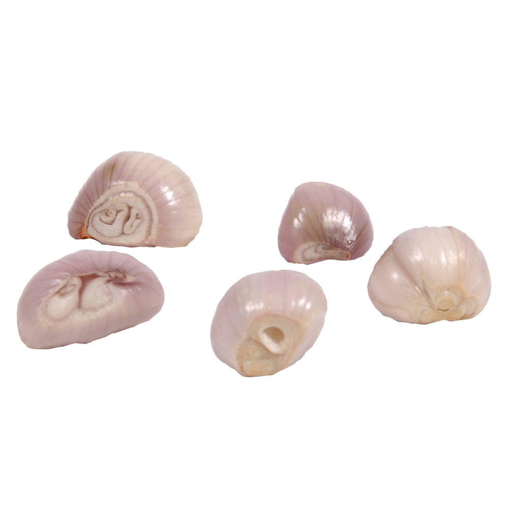 Shallots