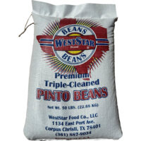371919-Pinto-Beans