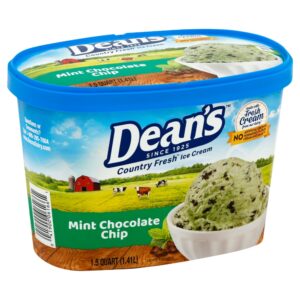 Mint Chocolate Chip Ice Cream | Packaged