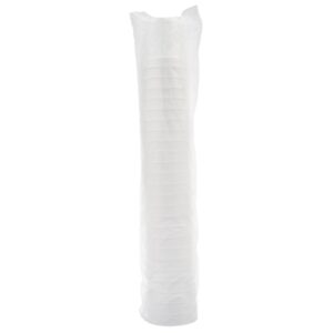 32 ounce Squat Foam Container | Packaged