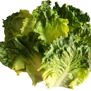 LETTUCE LEAF BTTR BRGR FLLT 2-5# RSS | Raw Item