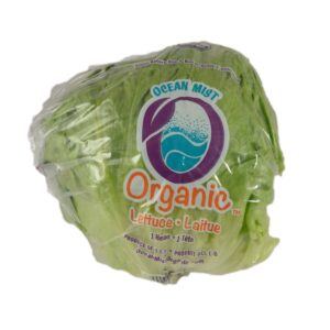 Organic Iceberg Lettuce | Packaged
