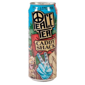 Soda Ginger Ale 20 fl oz | Packaged