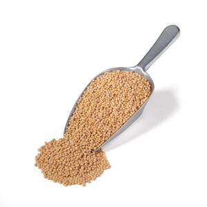 Whole Mustard Seed | Raw Item