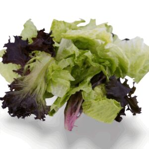 Romaine & Spring Mix Salad Blend | Raw Item