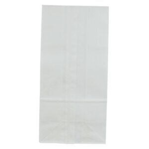 White Paper Bags | Raw Item