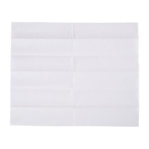 Wet Napkin | Raw Item