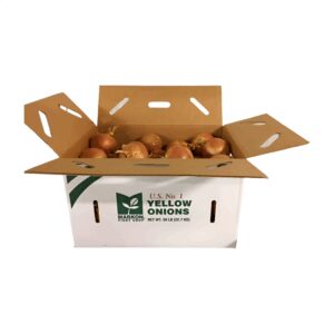 Jumbo Spanish Onions | Packaged
