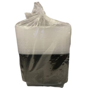 Plastic 38 oz. Containers with Lids | Packaged