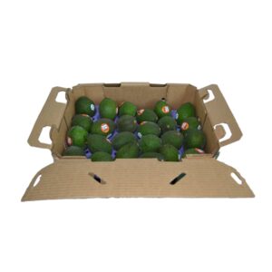 PROD FRESH AVOCADO-48CT FIRM | Packaged