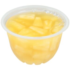 Pineapple Tidbits in Juice | Raw Item