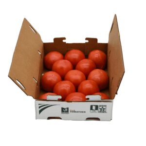 Fresh Tomatoes | Packaged