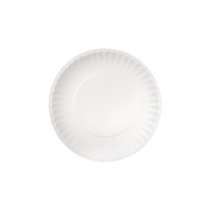 Paper Plates | Raw Item