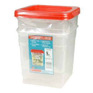 Food Containers with Lids | Packaged
