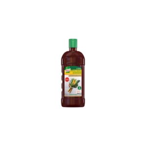 VEGETABLE BSE LIQ CONCENTRATED | Packaged
