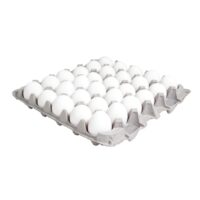 Fresh Large Eggs | Packaged
