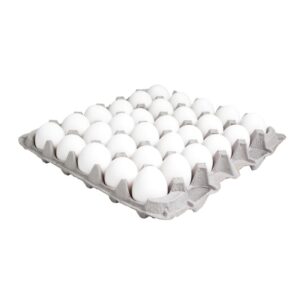 Fresh Large Eggs | Packaged