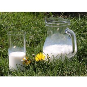 Whole White Milk | Styled