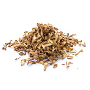 GRAPE RED SDLSS | Styled