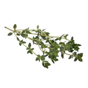 Thyme | Raw Item