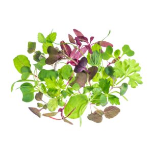 GREENS RAINBOW MICRO 1-8Z | Raw Item