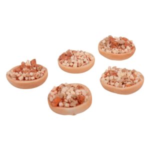 Combination Pizza Bagels | Raw Item