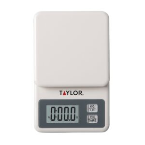 SCALE PORTION COMPACT WH 1CT TAYLOR | Styled
