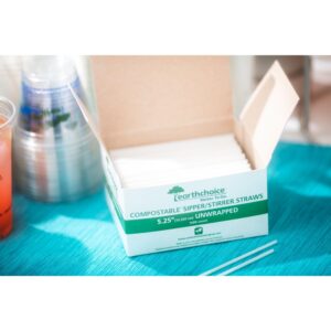 Plastic 5.25″ Compostable Stirrer | Styled