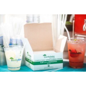 Plastic 5.25″ Compostable Stirrer | Styled