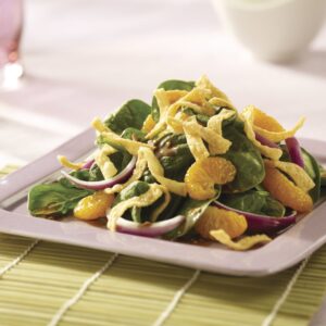 10-1# Gourmet Wonton Strips-55650 | Styled