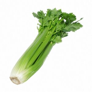 Jumbo Celery | RAW