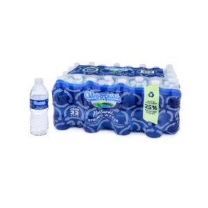 WATER SPRNG BTL 32-16.9FOZ | PNB