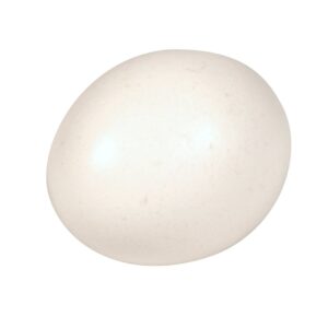 Cage Free Large Eggs | RAW