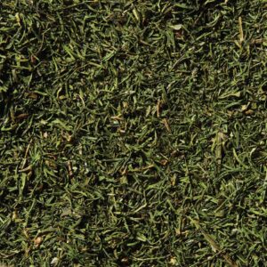 Dill Weed | RAW