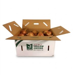 Jumbo Spanish Onions | PKG