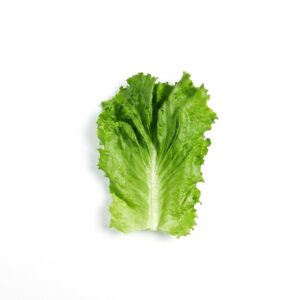 Green Leaf Lettuce | RAW