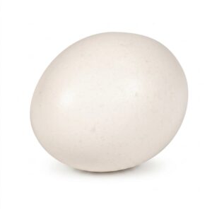 Cage Free Medium Eggs | RAW