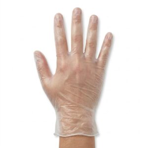 XL Vinyl Gloves | PNB